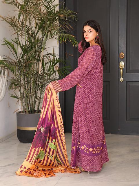 Nazmina - Elegant Evening Gown - 2 Pcs
