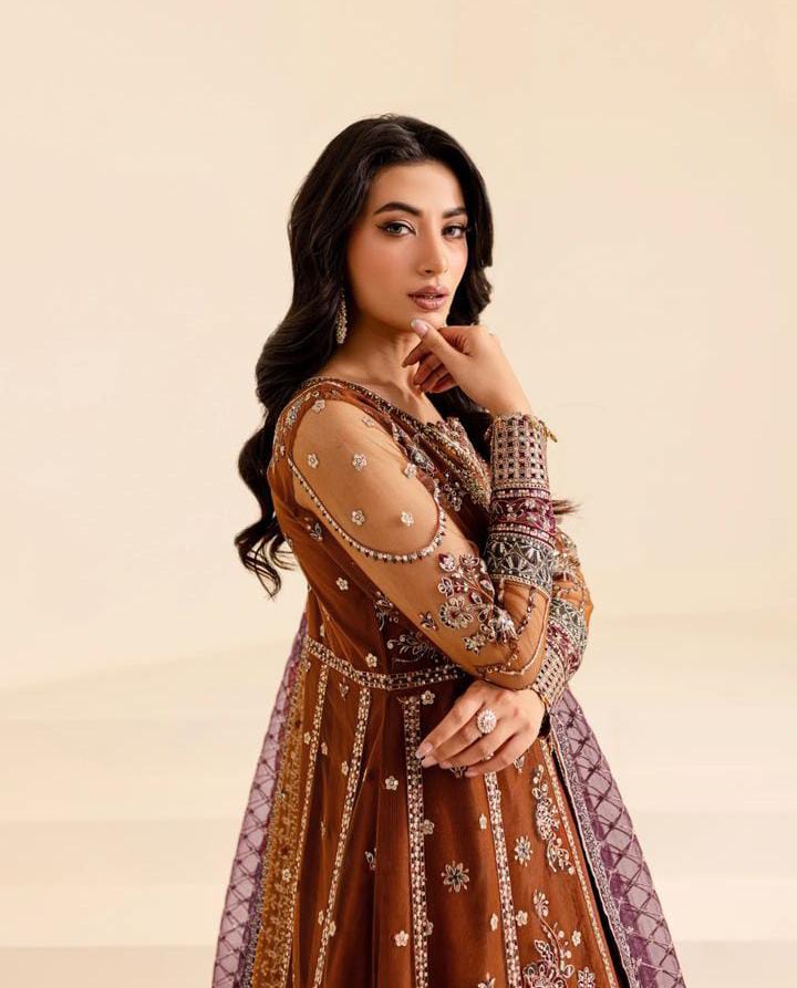 FARASHA - 3 Piece Net Frock with Shamose Silk Trouser